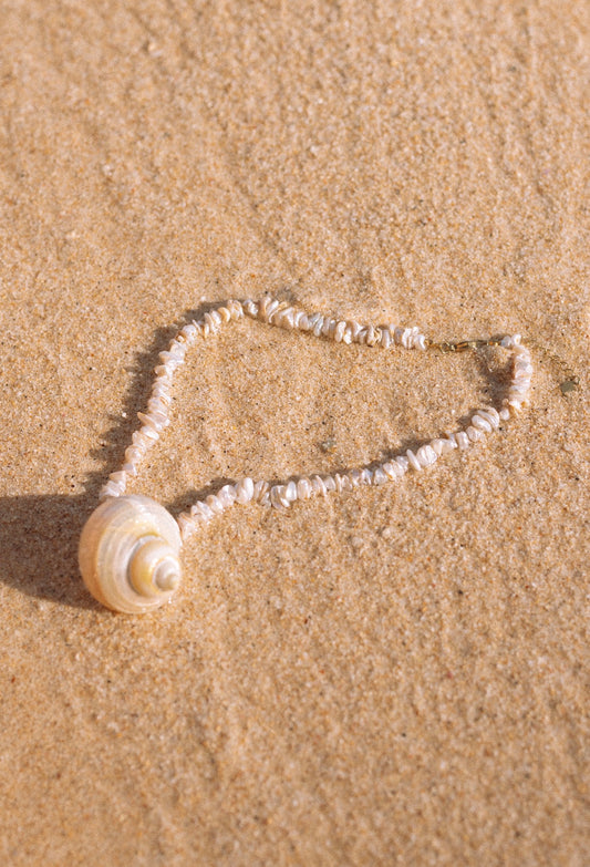 COLLIER NAUTILUS