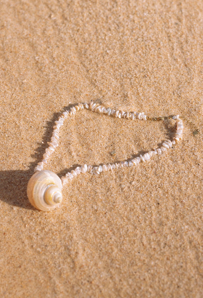 COLLIER NAUTILUS
