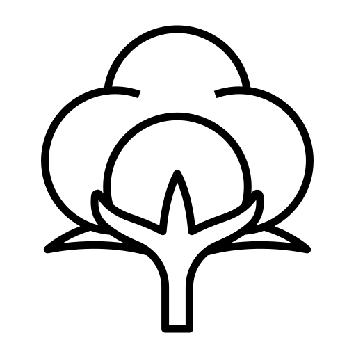Maison Blonde The Label